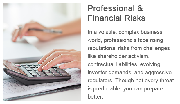 2-Professional &Financial Risks1.png